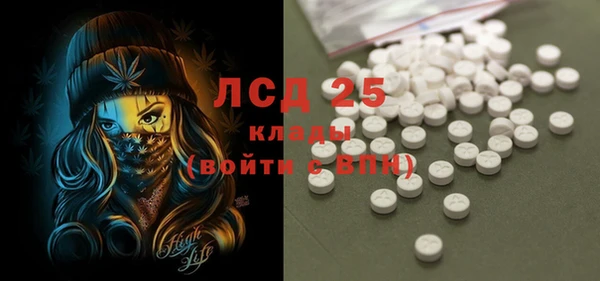 ПСИЛОЦИБИНОВЫЕ ГРИБЫ Балабаново